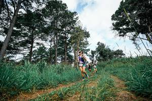 BIB: 
                            <button type="button" onclick="openModal(26009606)" class="btn btn-primary btn-sm float-right btn-popup" data-toggle="modal" data-target=".modal-high-quality">
                        <i class="fas fa-shopping-cart"></i> Add to Cart
                    </button>
                                            <button type="button" onclick="isThisMe(26009606, true)" class="btn btn-success btn-sm float-right btn-popup btn-isme hidden" data-toggle="tooltip" data-placement="bottom" title="นี่คือรูปของคุณใช่ไหม คลิกที่นี่เพื่อเอาเข้าอัลบั้ม">
                        <i class="fas fa-plus"></i> Add to album
                    </button>
                    <button type="button" onclick="isThisMe(26009606, false)" class="btn btn-warning btn-sm float-right btn-popup btn-isnotme hidden">
                        <i class="fas fa-ban"></i> Remove from album
                    </button>